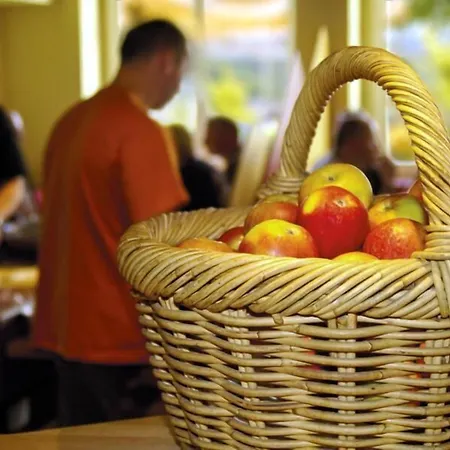 Hotel Panoramahotel Lilienstein 3*