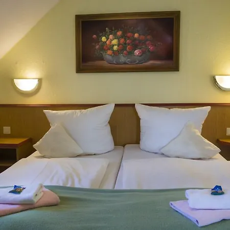Panoramahotel Lilienstein מלון 3*